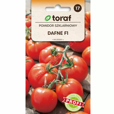 Pomidor szklarniowy Dafne  0,2g F1 T