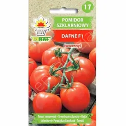Pomidor szklarniowy Dafne  0,2g F1 T