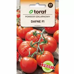 Pomidor szklarniowy Dafne  0,2g F1 T