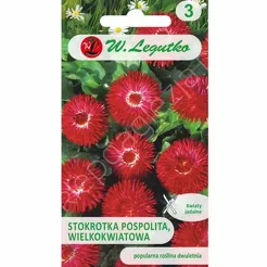 Stokrotka pospolita wielkokwiatowa Gracja 0,1g L