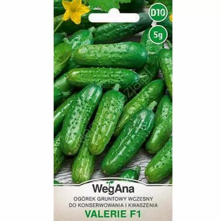 Ogórek Valerie konserwowy mieszaniec F1 3g W