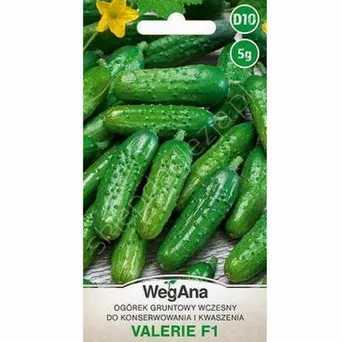 Ogórek Valerie konserwowy mieszaniec F1 3g W