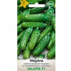 Ogórek Valerie konserwowy mieszaniec F1 3g W