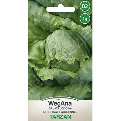 Sałata Tarzan 1g W 