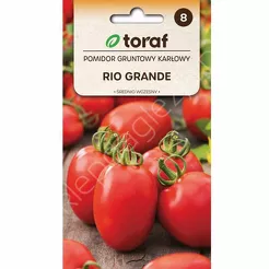 Pomidor gruntowy karłowy Rio Grande 0,5g T 