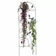 Podpora do roślin 38,5*118cm kratka czarna