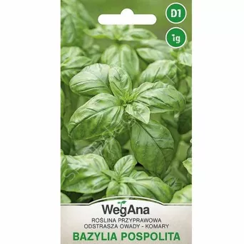 Bazylia pospilita zielonolistna 1g W