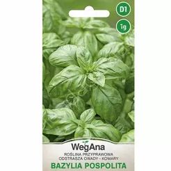 Bazylia pospilita zielonolistna 1g W