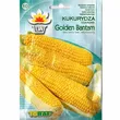 Kukurydza Golden Bantam 20g T - 2
