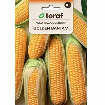 Kukurydza Golden Bantam 20g T