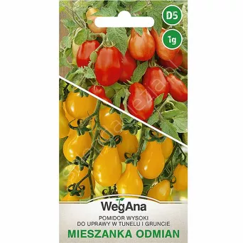 Pomidor mieszanka odmian gruszkowych 1g W