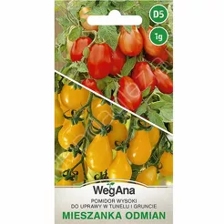 Pomidor mieszanka odmian gruszkowych 1g W