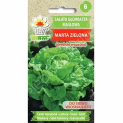 Sałata Marta Zielona masłowa 1g T 