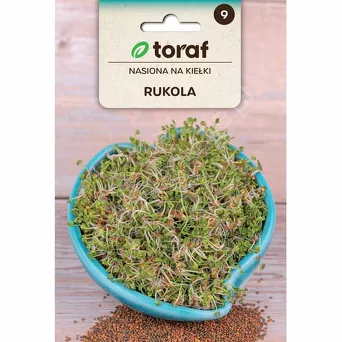 Nasiona na kiełki Rukola 10g T 
