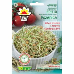 Nasiona na kiełki Pszenica 50g T