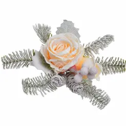 Roślina ośnieżona na klipsie