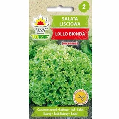 Sałata Lollo Bionde 1g T