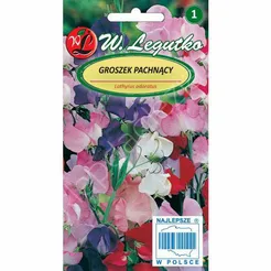 Groszek pachnący mix 5,00g L