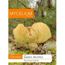 Grzybnia - Gąska zielona 10g