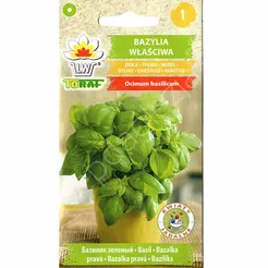 Bazylia pospolita 1g T