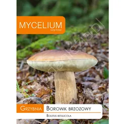 Grzybnia - Borowik brzozowy 10g