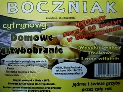 Grzybnia - Boczniak cytrynowy karton
