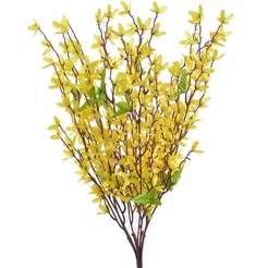 Forsycja x7