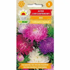 Aster chryzantemowy mix. 1g T