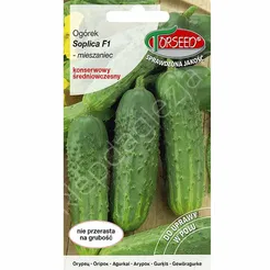 Ogórek Soplica F1 mieszaniec 3g To