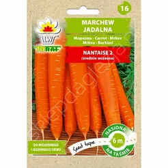 Marchew Nantese 2 Taśma 6m T