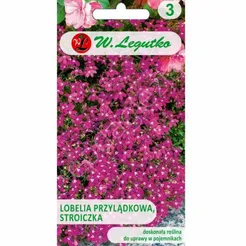 Lobelia przylądkowa Stroiczka karminowo-czerwona 0,1g  L
