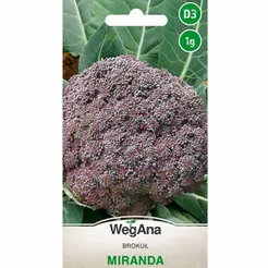 Brokuł Miranda 1g W