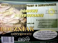 Grzybnia - Boczniak ostrygowaty karton