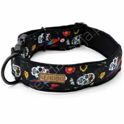 Obroża KenDog M 4cm klamra Czaszki