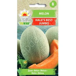 Melon Hale's best jumbo 1g T