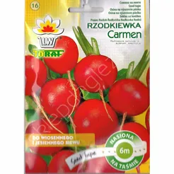 Rzodkiewka Carmen Taśma 6m T