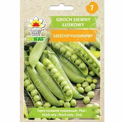 Groch Sześciotygodniowy siewny 50g T