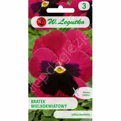 Bratek wielokwiatowy Weinrote Tone kaminow 0.5g  L