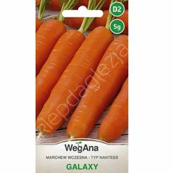 Marchew Galaxy 5g W