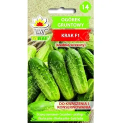 Ogórek Krak F1 5g T
