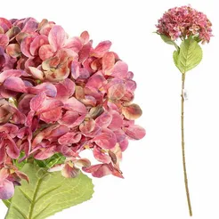 Hortensja pojedyńcza różowa 69cm