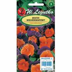 Bratek wielokwiatowy Orange Violet 0,30g  L