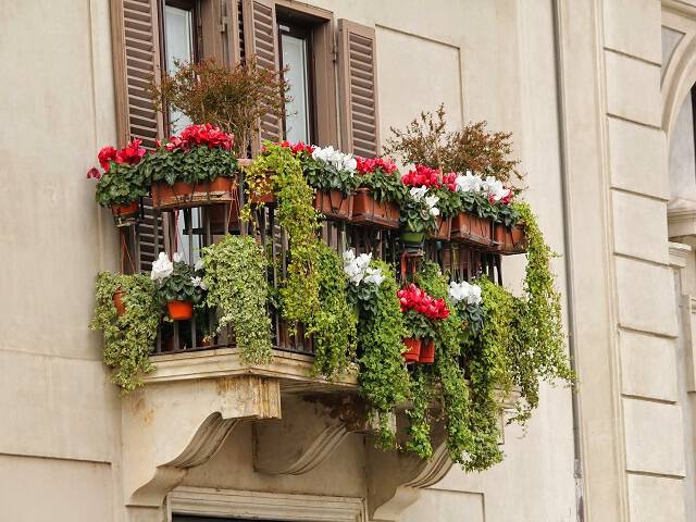 Najlepsze skrzynki balkonowe do sadzenia kwiatów balkonowych.