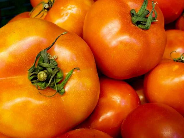 Odkryj Najlepsze Odmiany Pomidora: Nowości w Świecie Nasion Pomidora