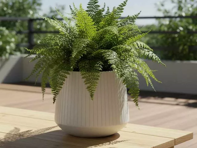 Doniczki ceramiczne – jak wybrać idealną doniczkę do domu i ogrodu?