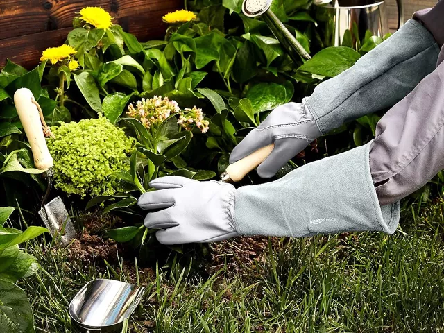 Jak wybrać idealne rękawice ogrodowe? Kompleksowy przewodnik